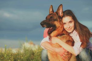 Do German Shepherds Bond With One Person