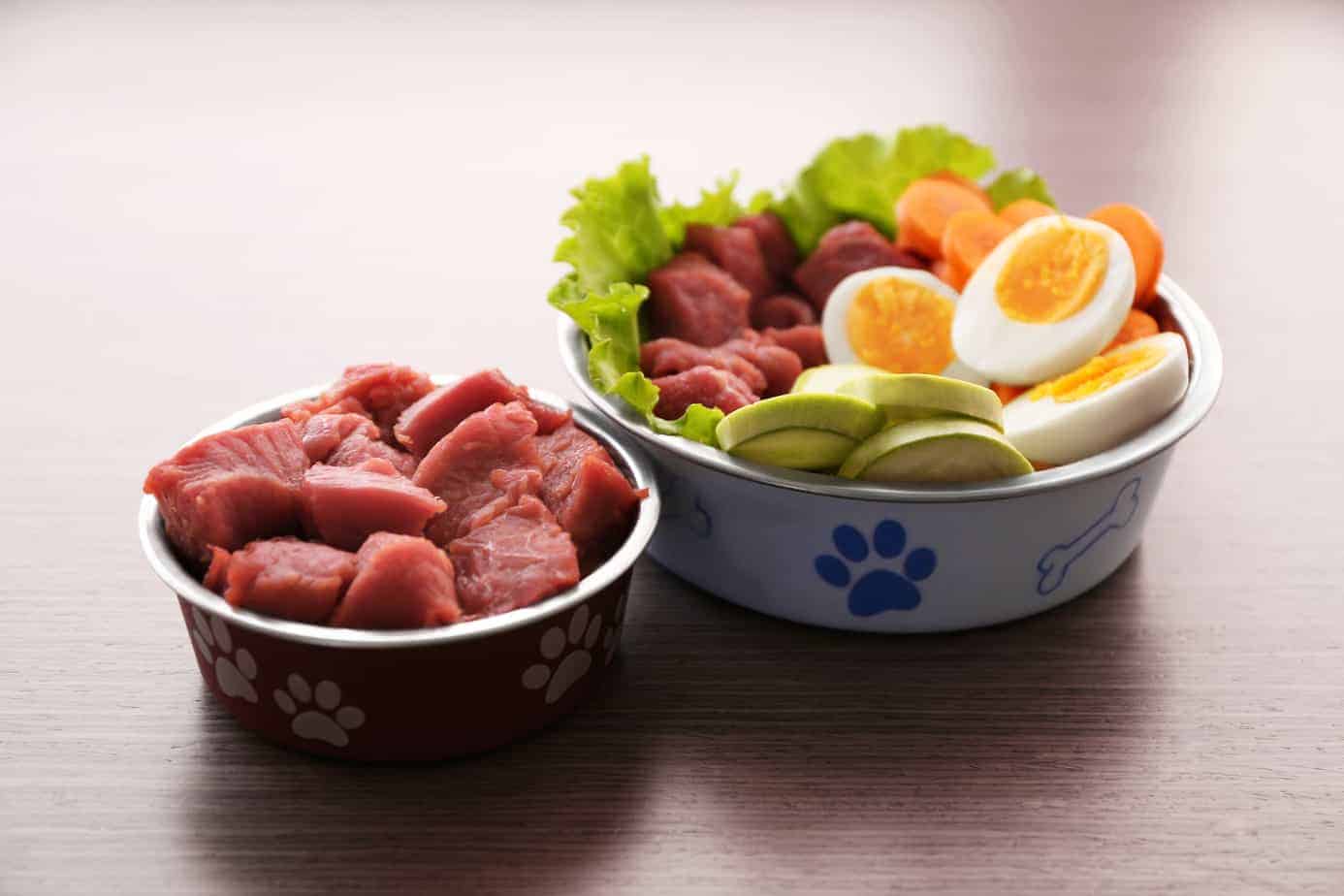 Healthy dog food