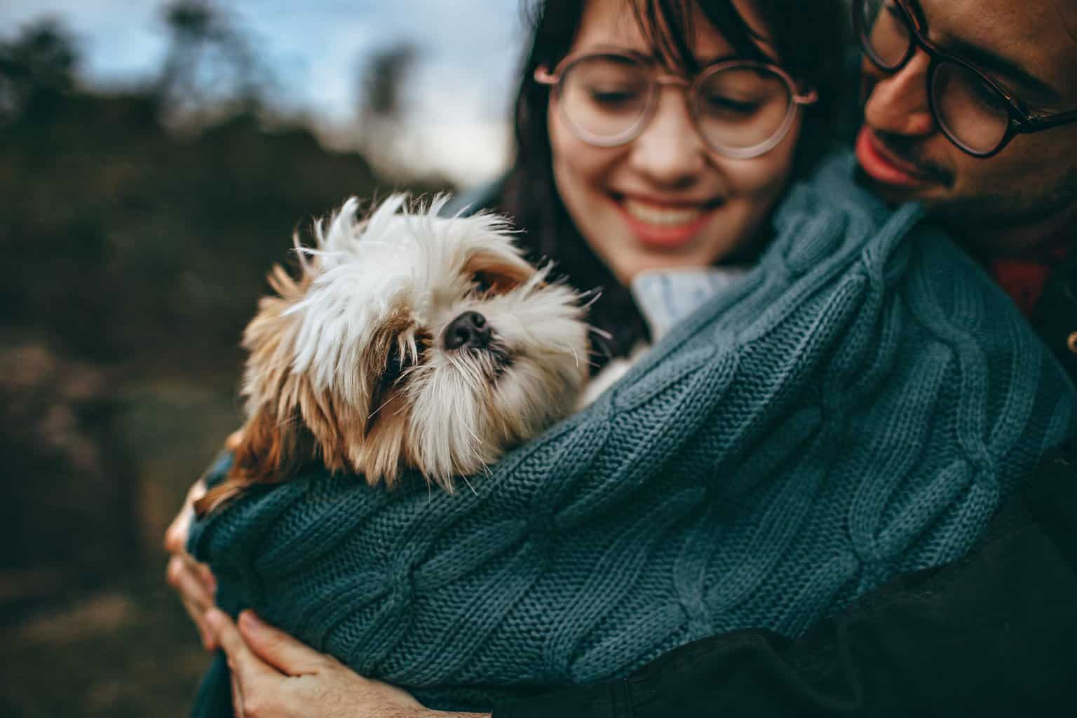 do-dogs-bond-to-one-person-pooch-authority