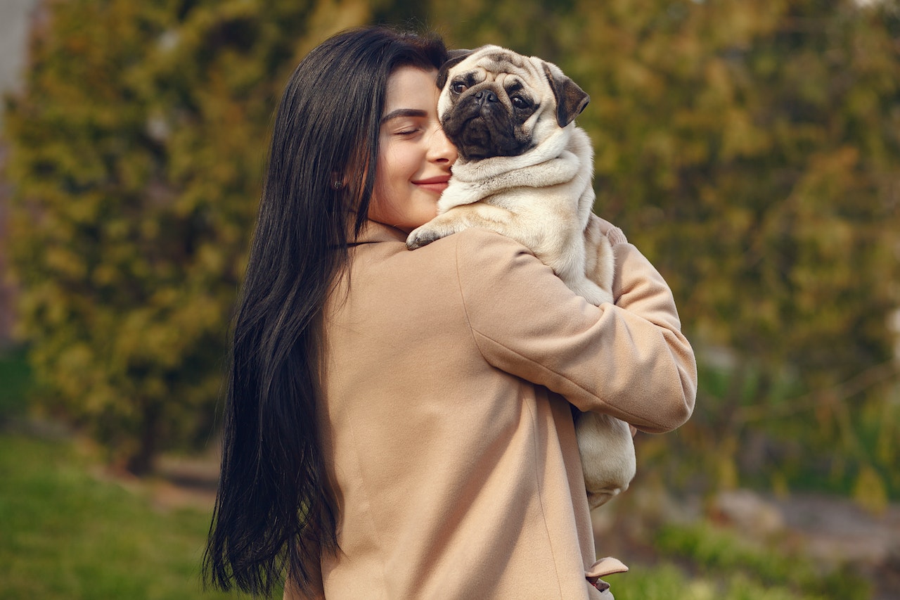 Loving Bull Pug with owner. Image by Gustavo Fring from Pexels
